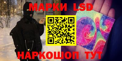 стафф Гусев