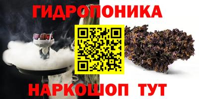 стафф Гусев