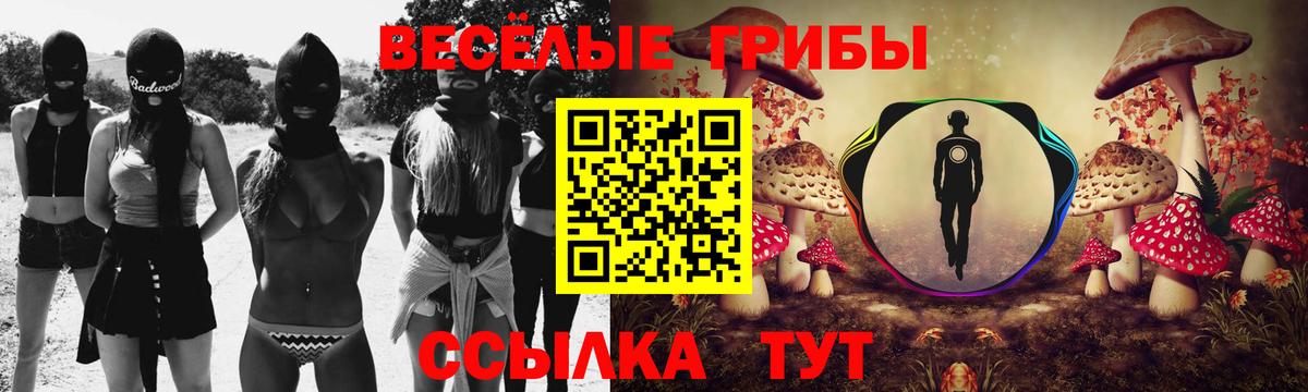 Галлюциногенные грибы Psilocybine cubensis Москва