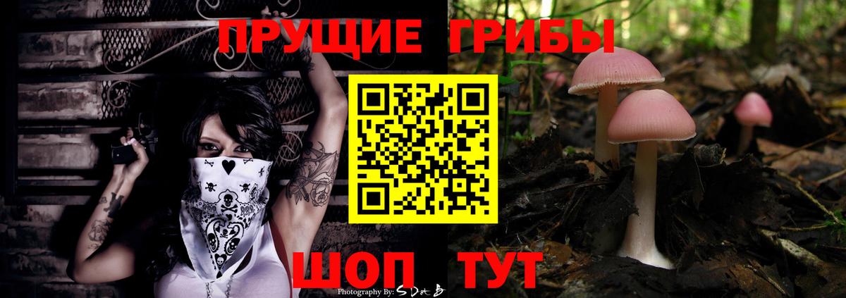 Москва  Галлюциногенные грибы Psilocybe  Вход с VPN 
